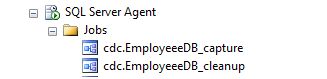  SQL Agent